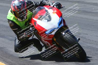 media/Apr-14-2024-SoCal Trackdays (Sun) [[70f97d3d4f]]/6-Bowl (1030am)/